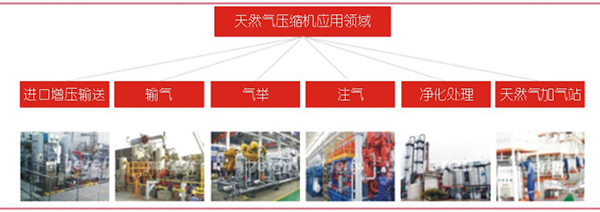 國內天然氣市場分析及壓縮機應用簡述